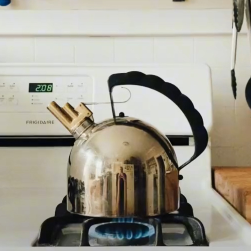 Alessi | Melodic Kettle 9091 by Richard Sapper