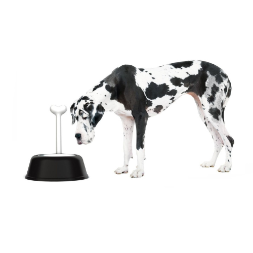 Alessi Lupita Dog Bowl 099
