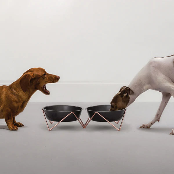 Bendo WoofWoof Dog Pet Bowl Life01