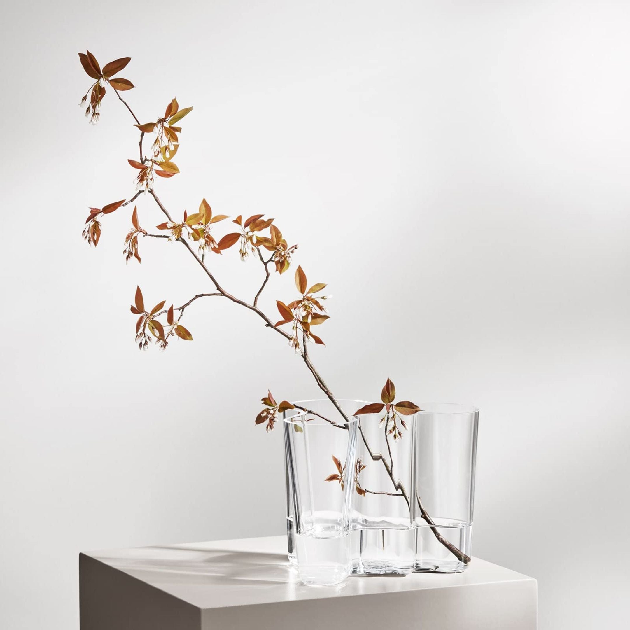 Iittala Aalto Vase 16cm Clear – The Gift & Co