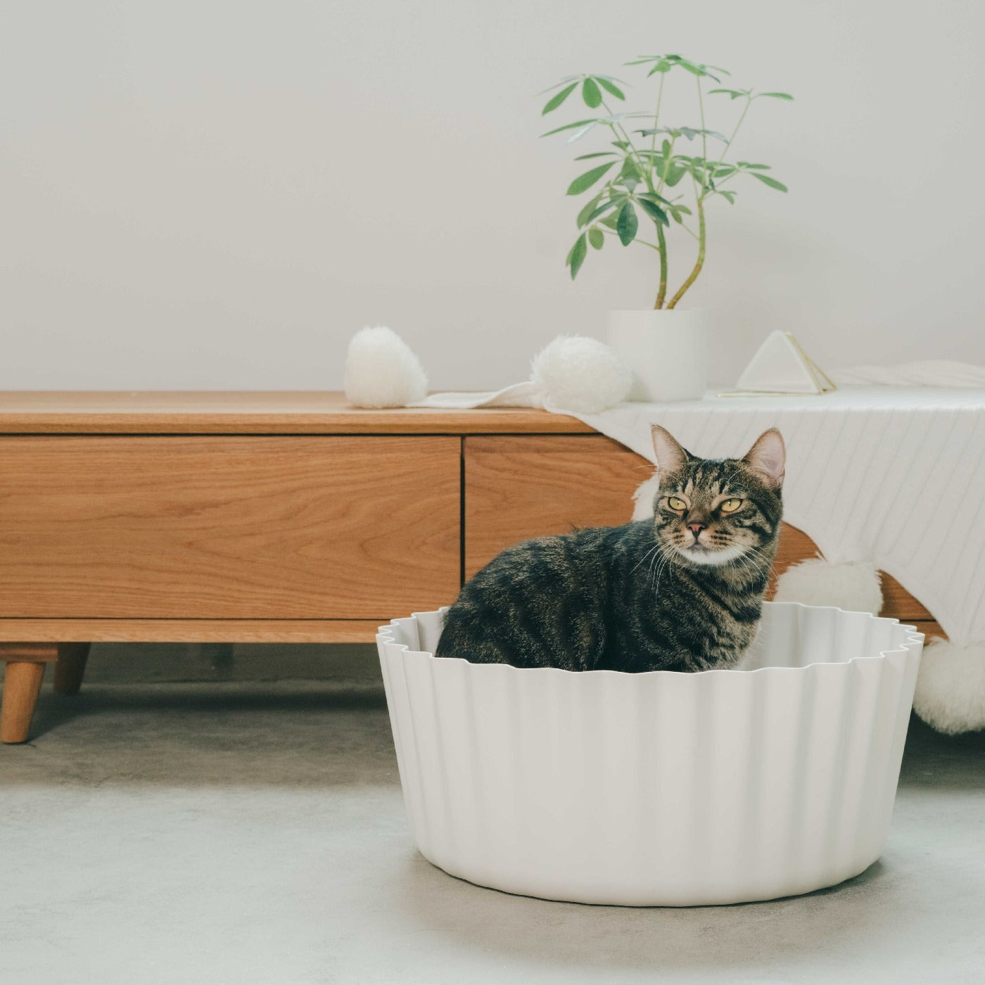 Cupcake best sale cat bed